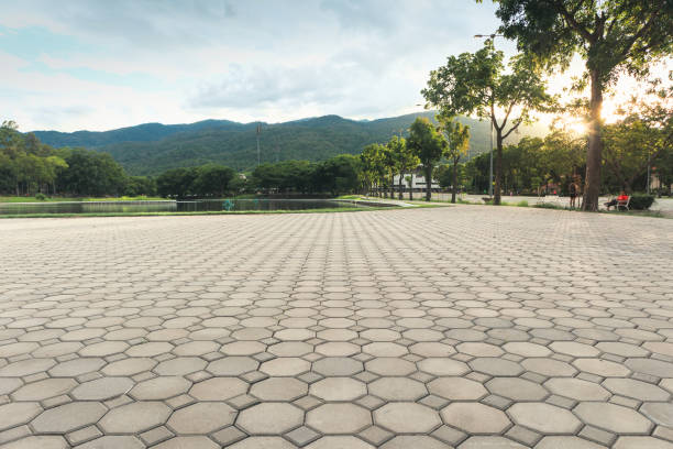 Paver Driveway Replacement in Forest Park, GA